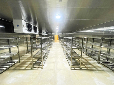 成都体育学院三岔湖校区第一食堂冻库项目